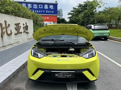 BYD Seagull