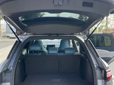 BYD Pro