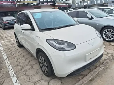 Wuling Bingo