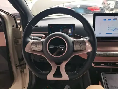BYD Seagull