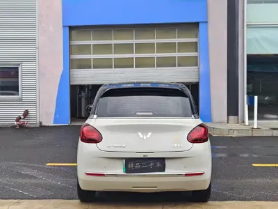 Wuling Bingo