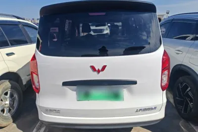 Wuling Hongguang New Energy