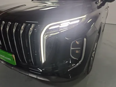 Hongqi HS7 PHEV