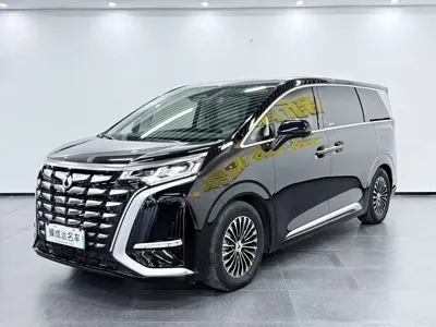 Denza Denza D9