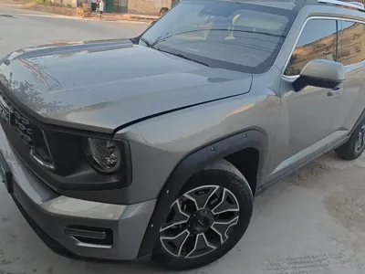 Haval 哈弗大狗 PLUS 新能源