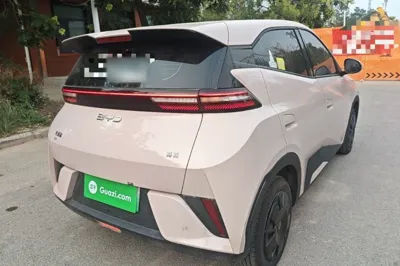 BYD Seagull