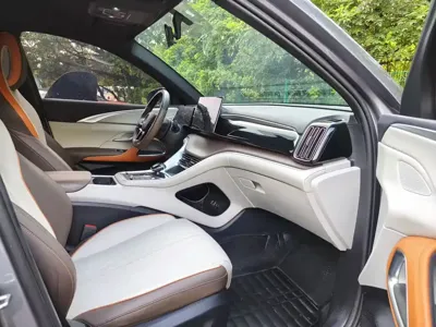 BYD Pro New Energy