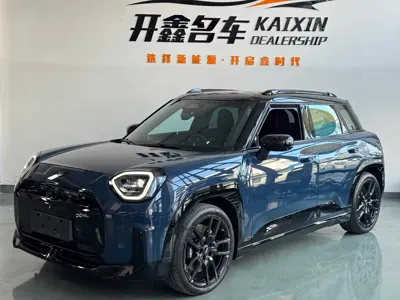 MINI MINI ACEMAN EV