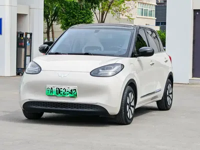 Wuling Bingo