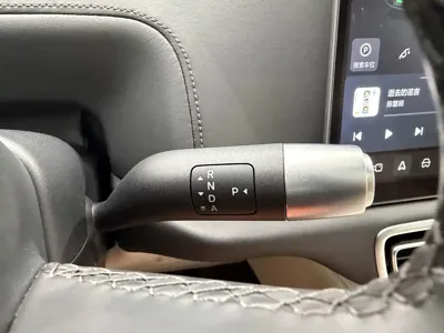 Li Auto Li L9