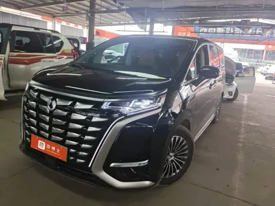 Denza Denza D9