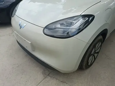 Wuling Bingo