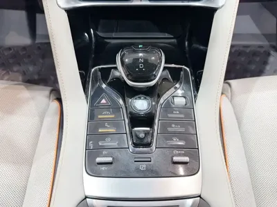 BYD PLUS New Energy