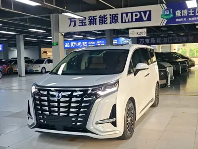 Denza Denza D9