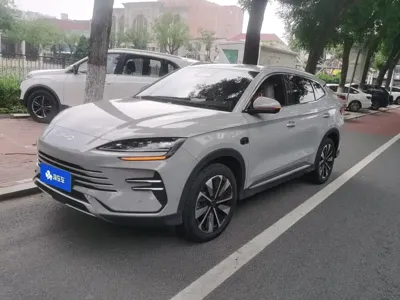 BYD PLUS New Energy