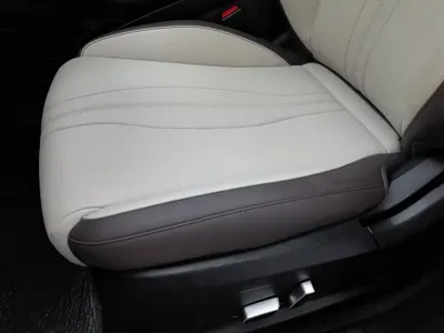 BYD PLUS New Energy