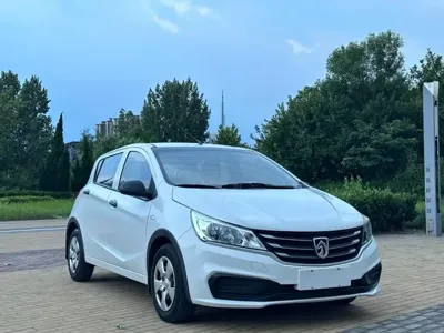 Baojun 310