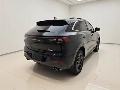 Fengxing Fengxing T5 EVO