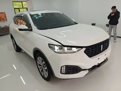 WEY Wey VV6