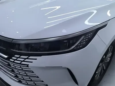 BYD Destroyer 05
