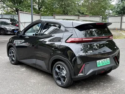 BYD Seagull