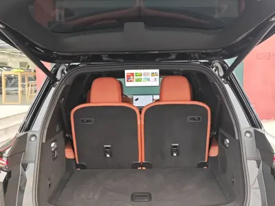 Li Auto Li L9