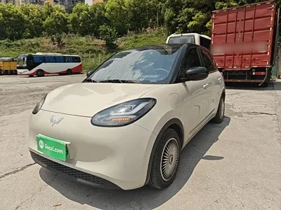Wuling Bingo