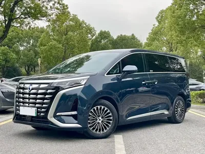 Denza Denza D9