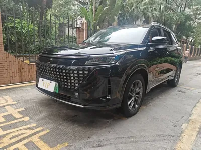 Landian Landian E5