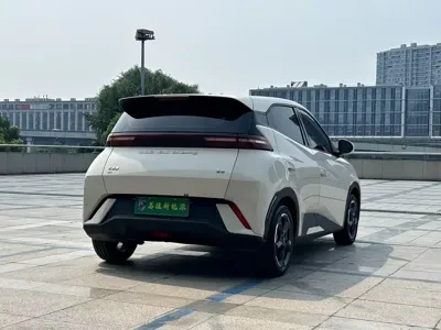 BYD Seagull