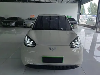 Wuling Bingo