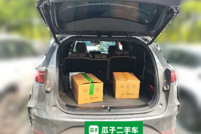 BYD Tang New Energy