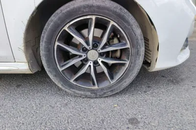 BYD Song Max