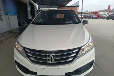 Baojun 310
