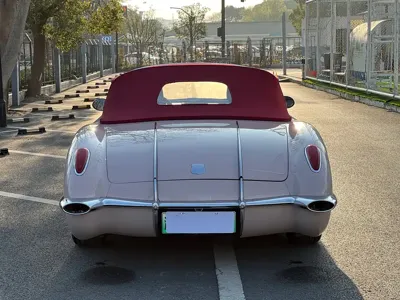 SONGSAN MOTORS SS DOLPHIN
