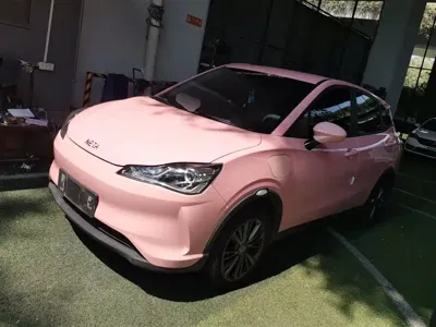 NETA Neta V