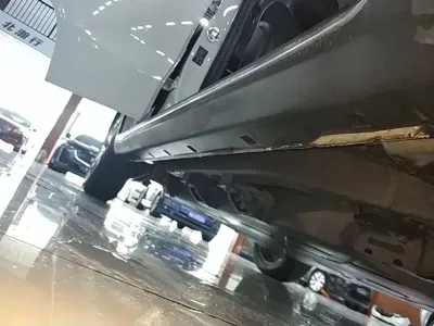 NETA Neta V