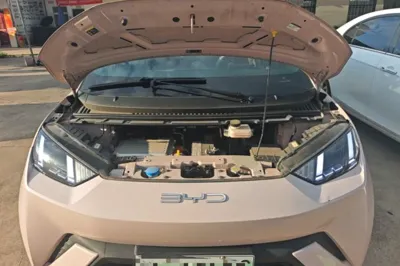 BYD Seagull