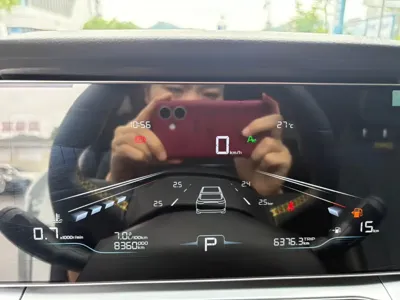 Geely Binrui