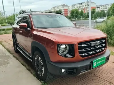 Haval Big Dog