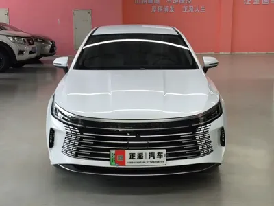 BYD Destroyer 05