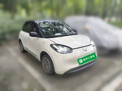 Wuling Bingo