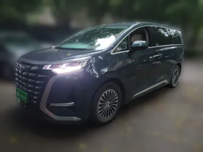 Denza D9