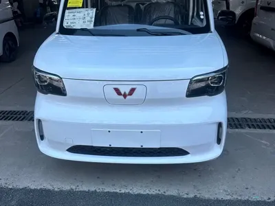 Wuling Zhiguang EV
