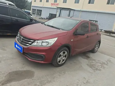 Baojun 310