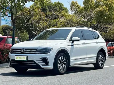 Volkswagen Tiguan L New Energy