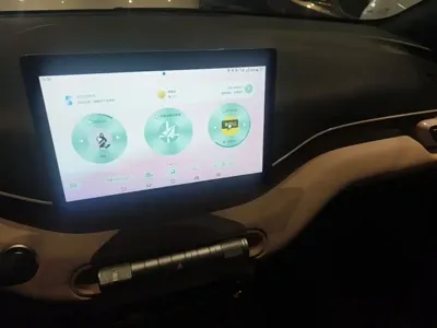 BYD Seagull