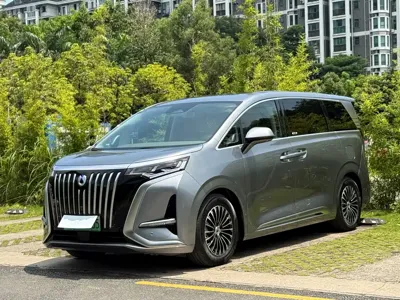 Denza Denza D9