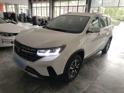 Forthing T5