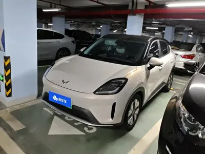 Wuling 缤果S